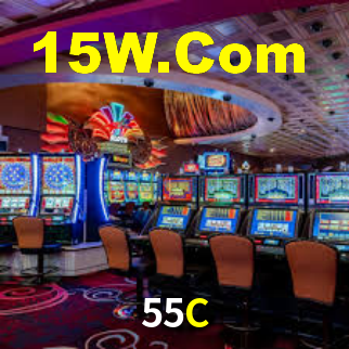Premium Interface 55C